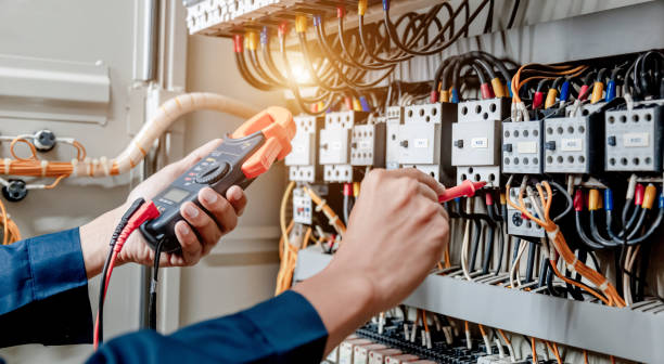 Best Electric Panel Repair  in Red Wing, MN